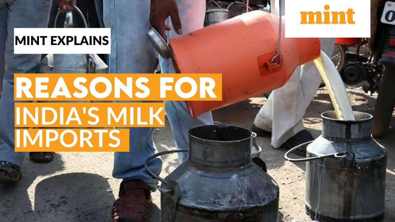 The factors pushing India to consider milk imports | Mint Explains | Mint