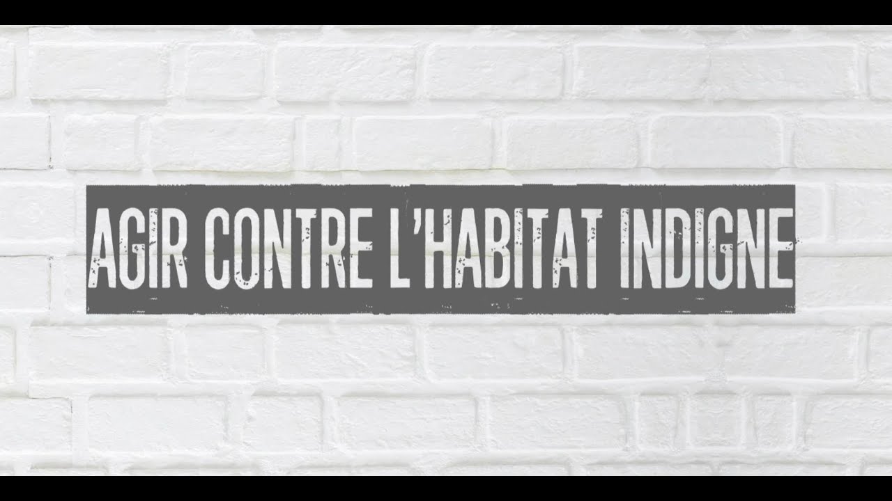 Agir contre l'habitat indigne - LE FIL DE L'ADIL 93