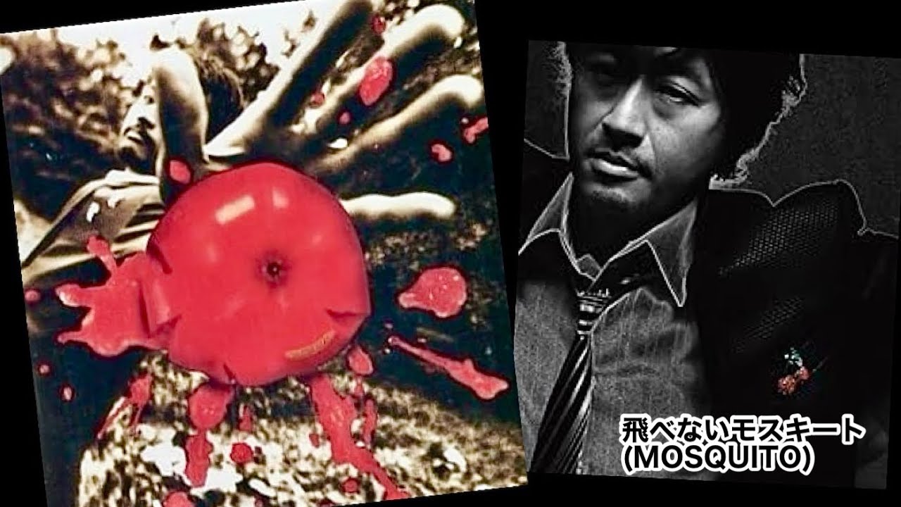 桑田佳祐 - 飛べないモスキート(MOSQUITO) 歌詞付き