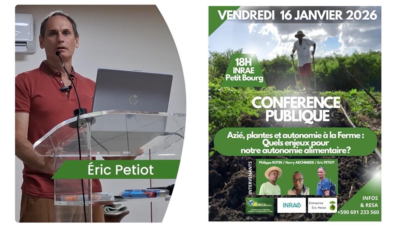 Conférence 