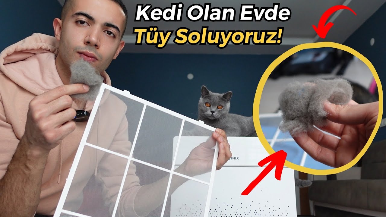 3 KEDİ OLAN EVDE HAVANIN DURUMU! (Winix Zero Pro Hava Temizleme Cihazı İncelemesi)