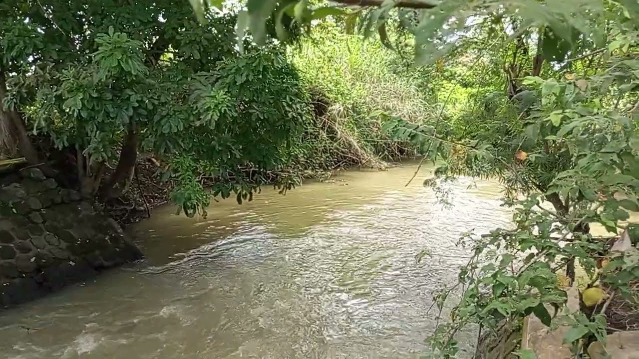 Suara gemericik air sungai