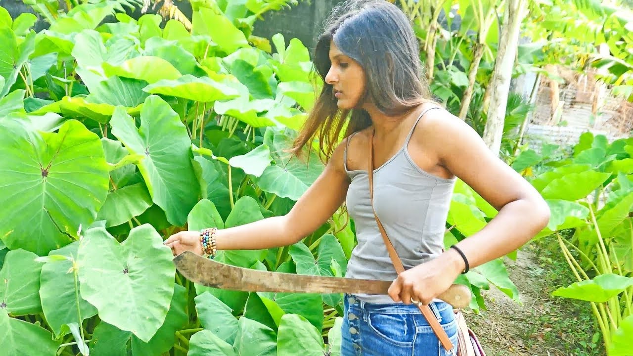 Uncle Mukesh's Caribbean Garden | #vlog
