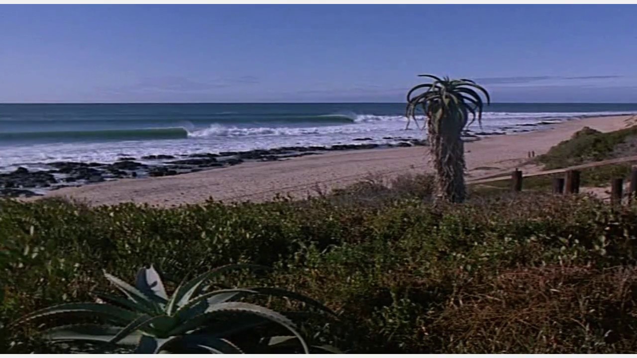 Robin Ward ~ Wonderful Summer (Stereo)