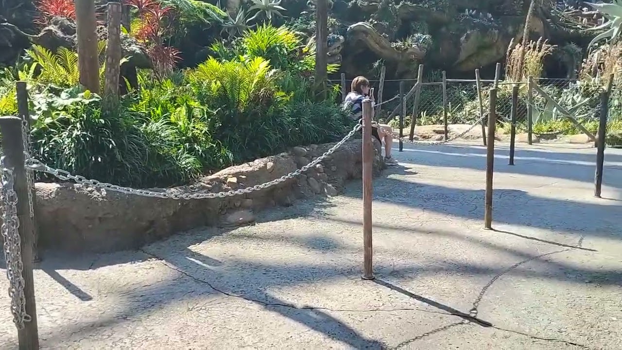 Tour of Pandora