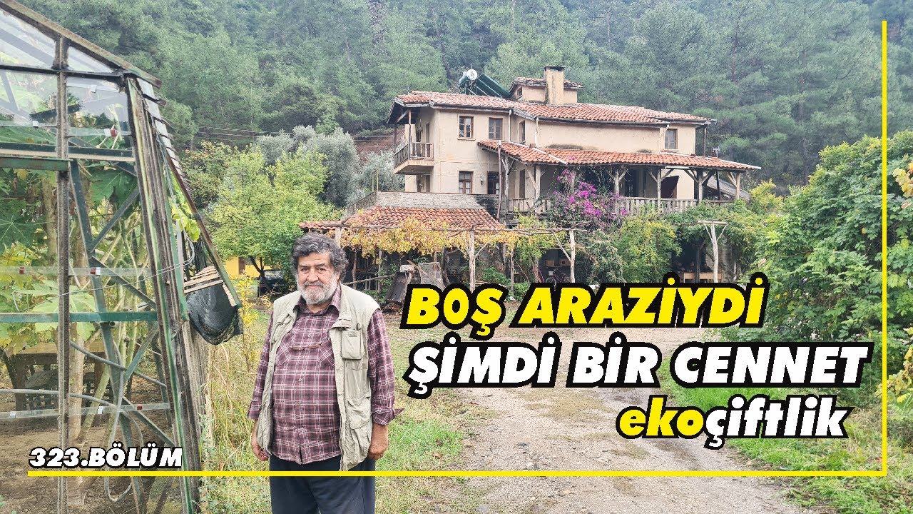42 dönüm boş araziyi aldı, köylü ile birlikte hem doğal yaşıyor, hemde para kazanıyor! (Köyde yaşam)