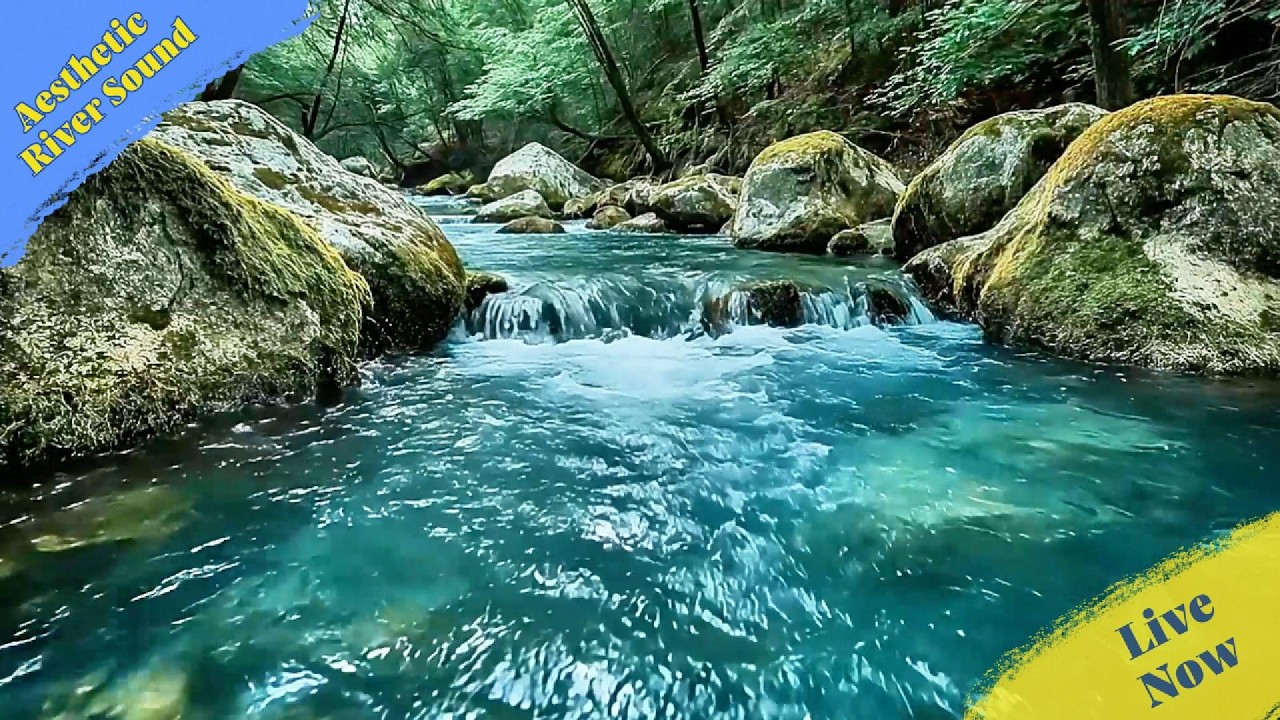 You Don't Have To Be Strong Now 🌲 River ASMR, nature sounds for sleeping