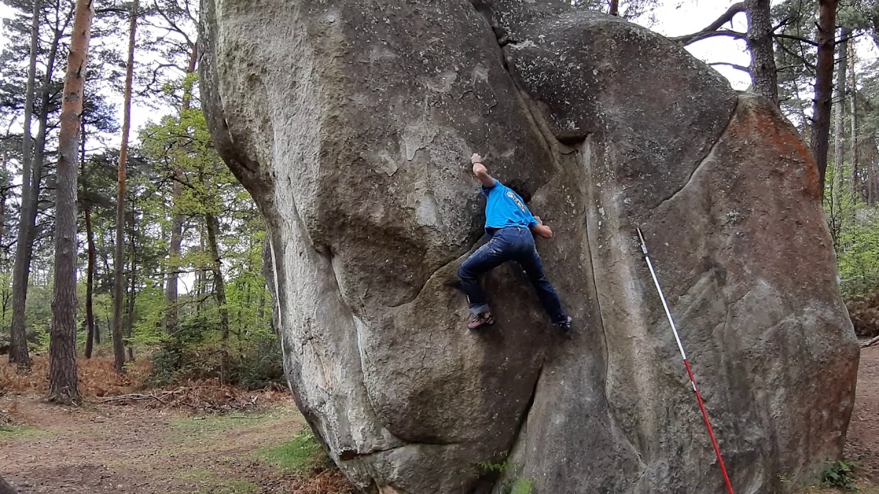 Tout en Dalle 7B+ Cuvier Merveille