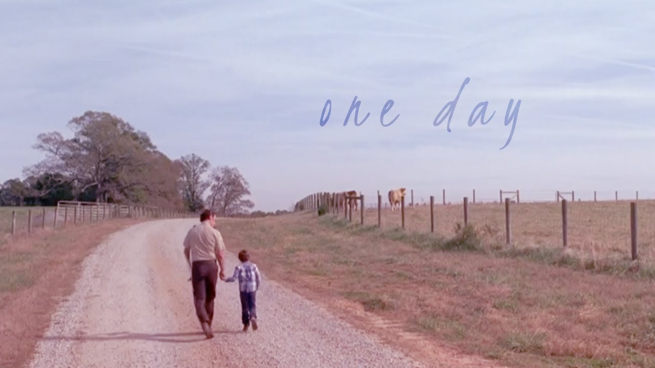 The Survivors | One Day