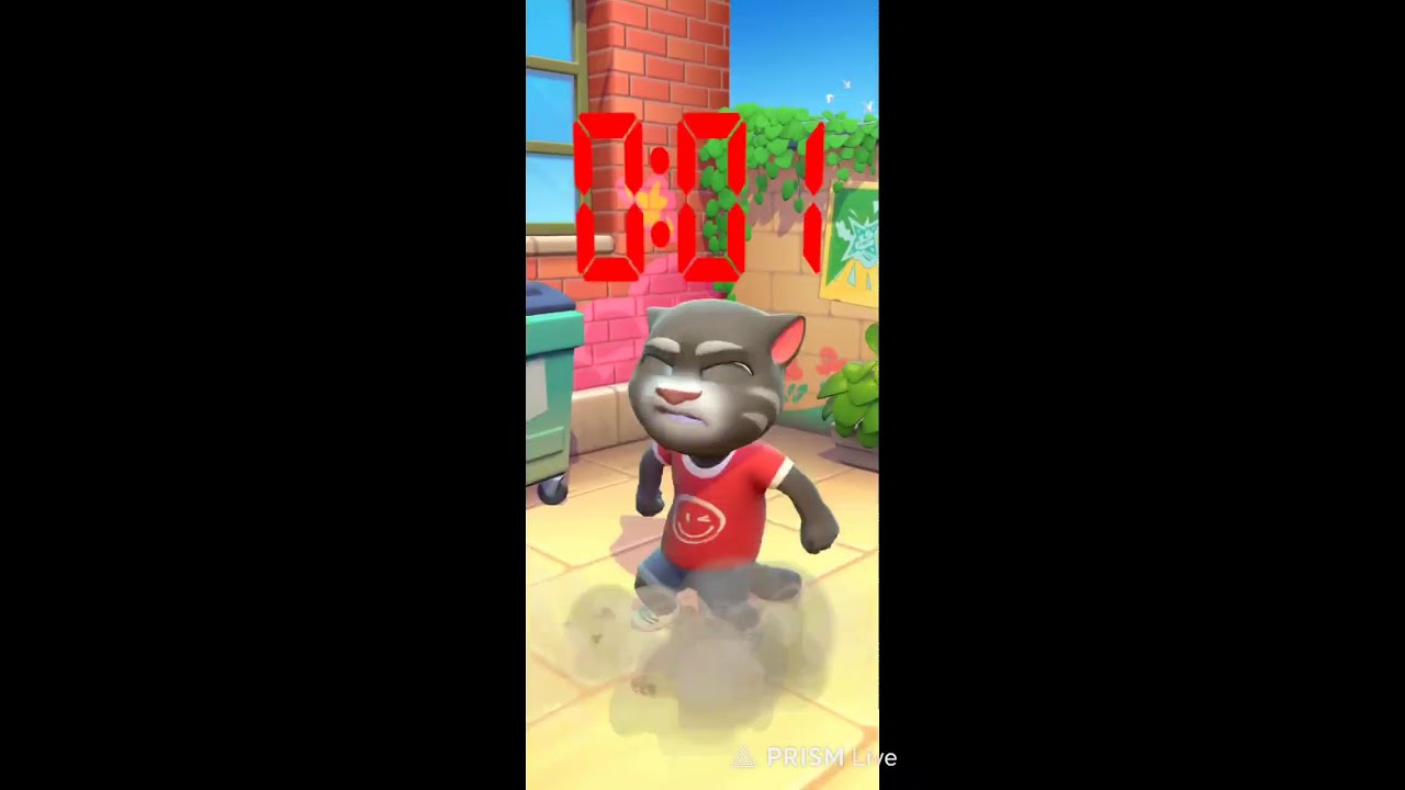 My talking Tom