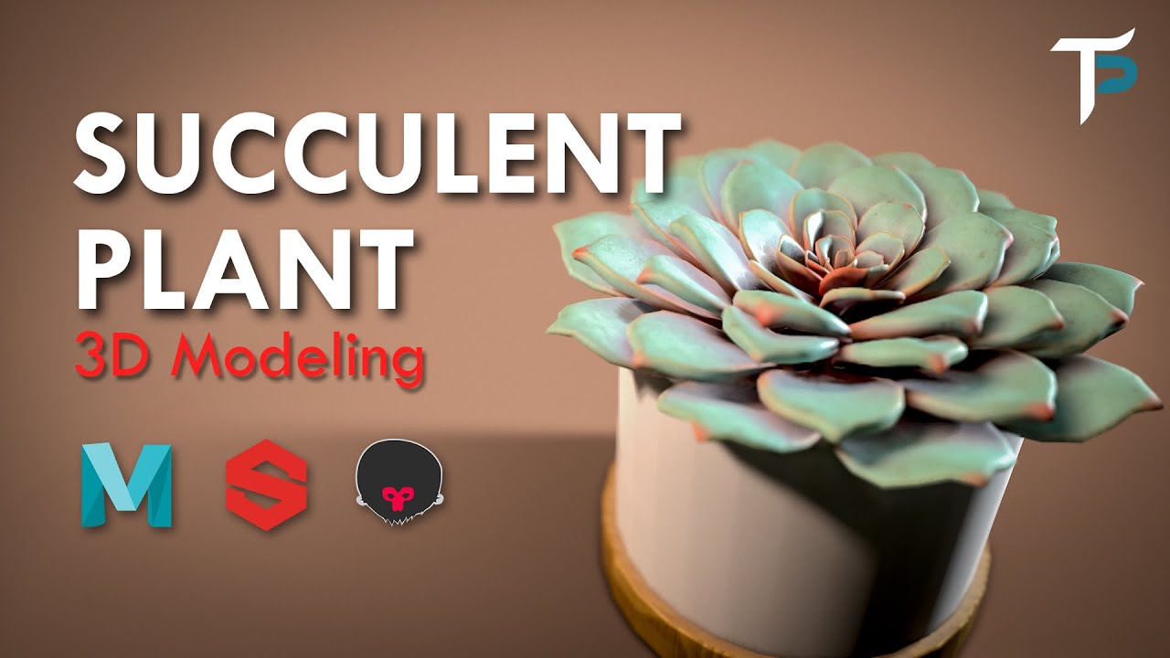 Succulent Plant - 3D Modeling - Maya, Substance Painter, Marmoset Toolbag