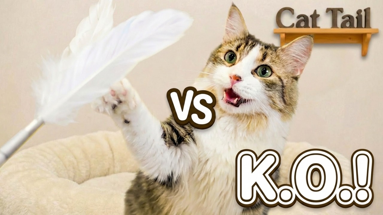 Adorable Cats vs. Feather: The Ultimate 'Feather'weight Championship!