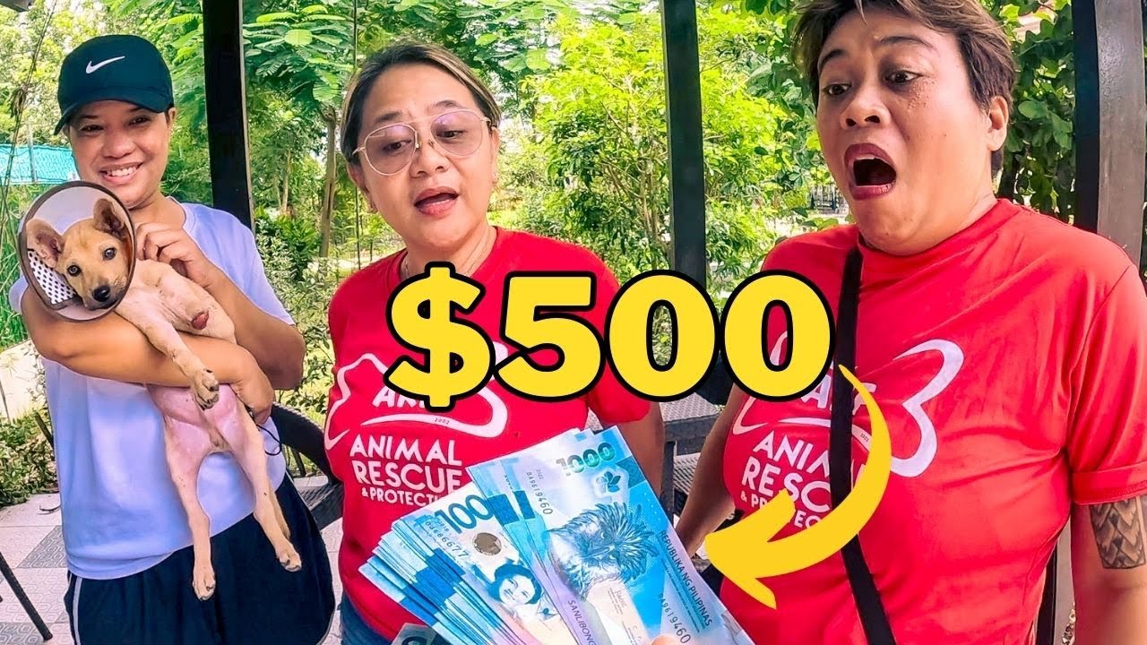 I Gave $500 to an Animal Shelter in The Philippines 🇵🇭