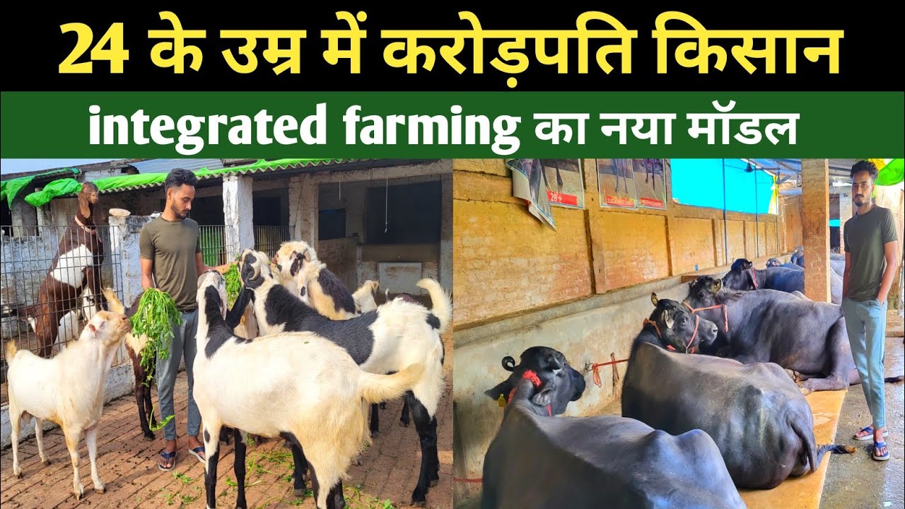 24 साल का युवा बकरी गाय भैंसों के पालन से बना करोड़पति | integrated farming का नया मॉडल
