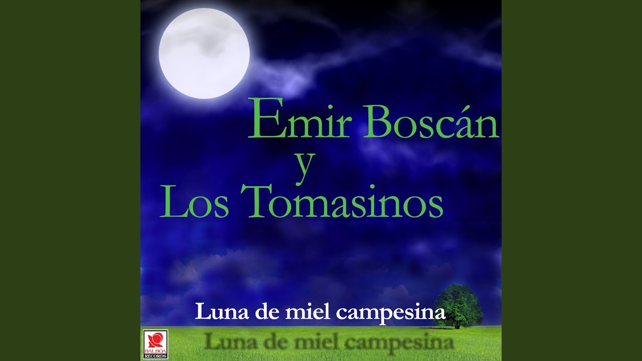 Caimito