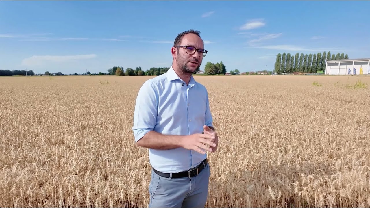 Donato Cillis | Area R&S agricoltura di precisione