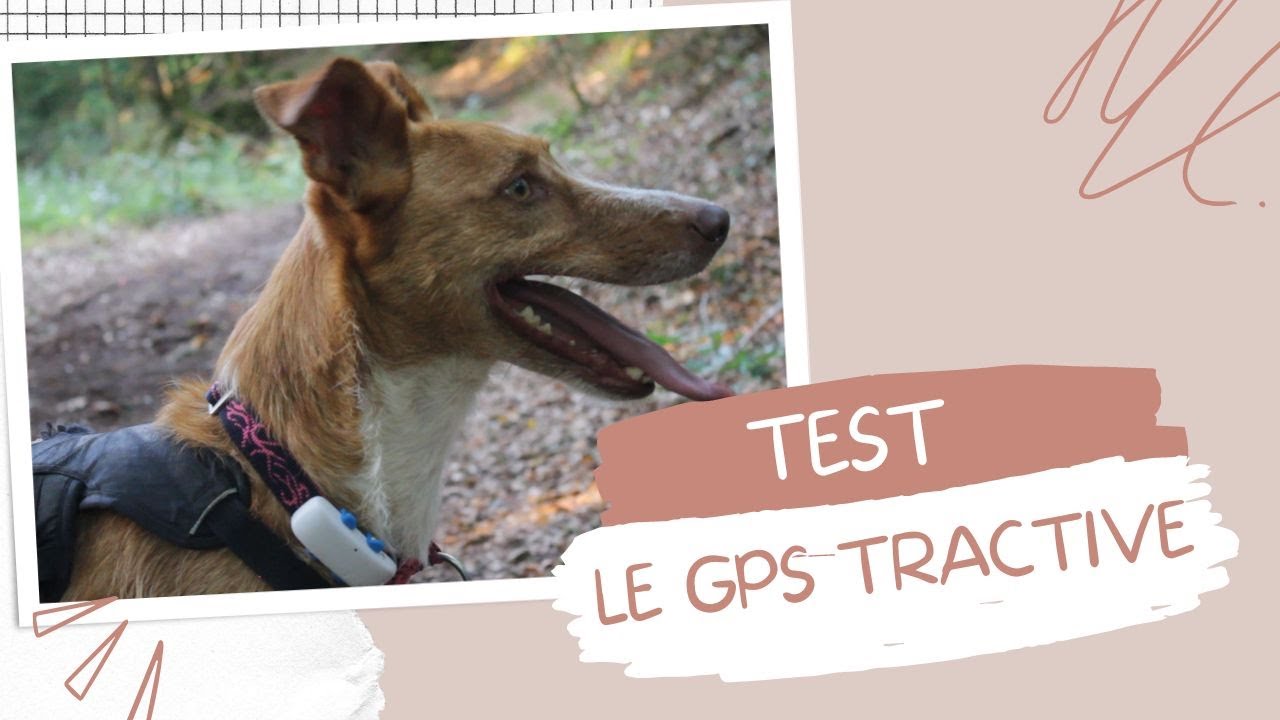 J'AI TESTÉ POUR VOUS - Le GPS Tractive-