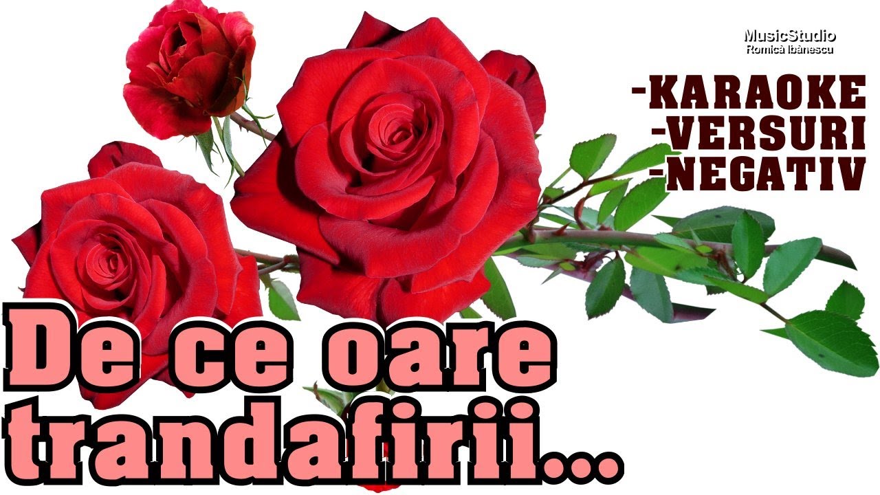 Karaoke - De ce oare trandafirii se scutura toamna [NOU-2024] Spune omule, de ce...Versuri - Negativ