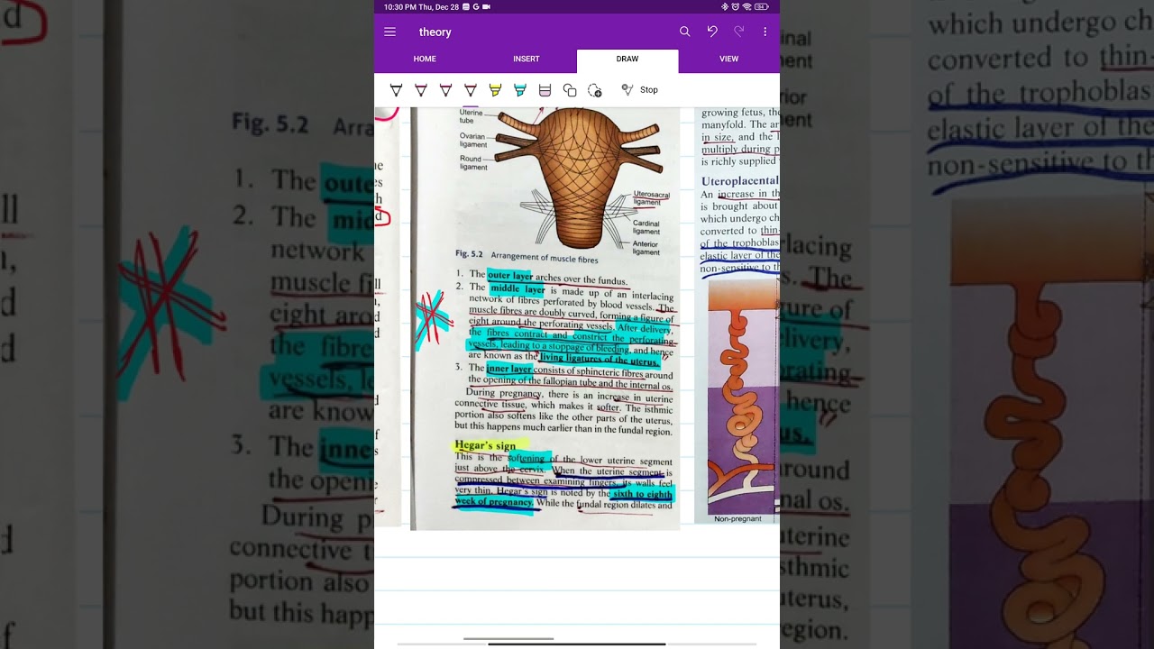 genital tract changes in pregnancy, physiology of pregnancy