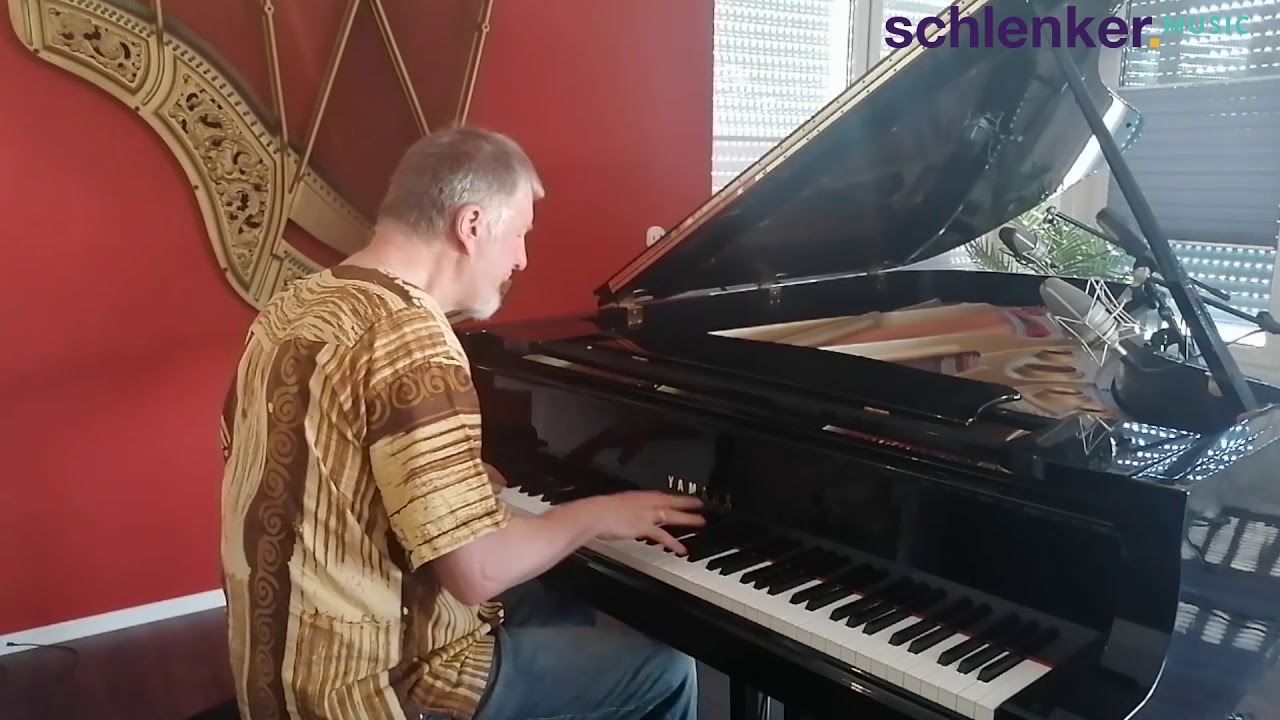 Ludwig van Beethoven - Für Elise - Niko Schlenker
