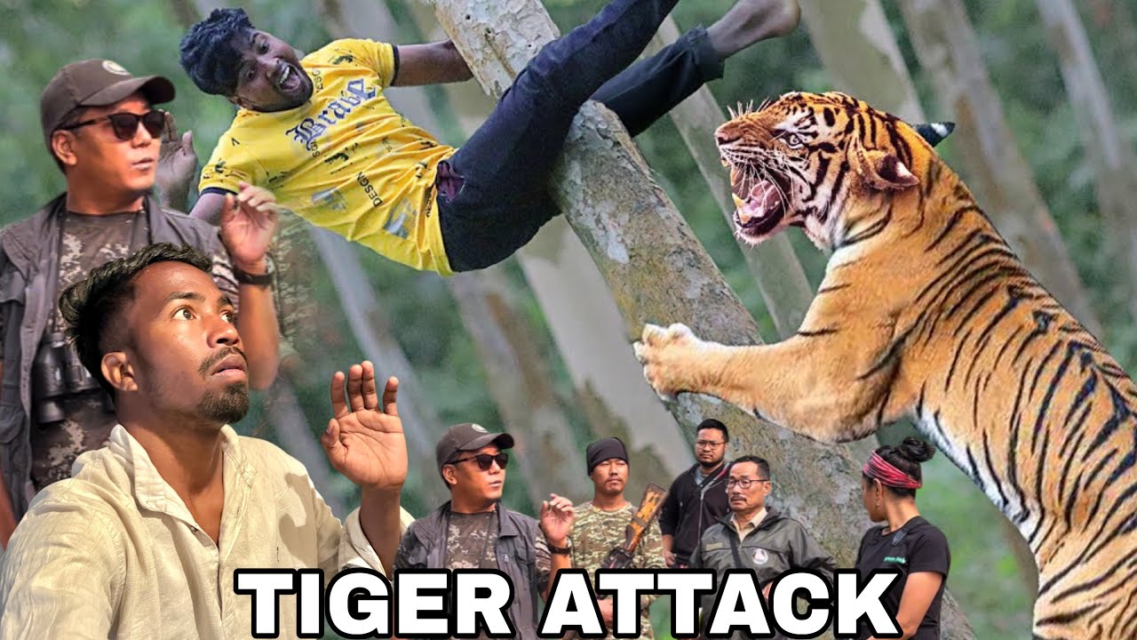 Tiger🐅 Resupe Arunachal Pradesh || शेर शेरनी की कहानी || 