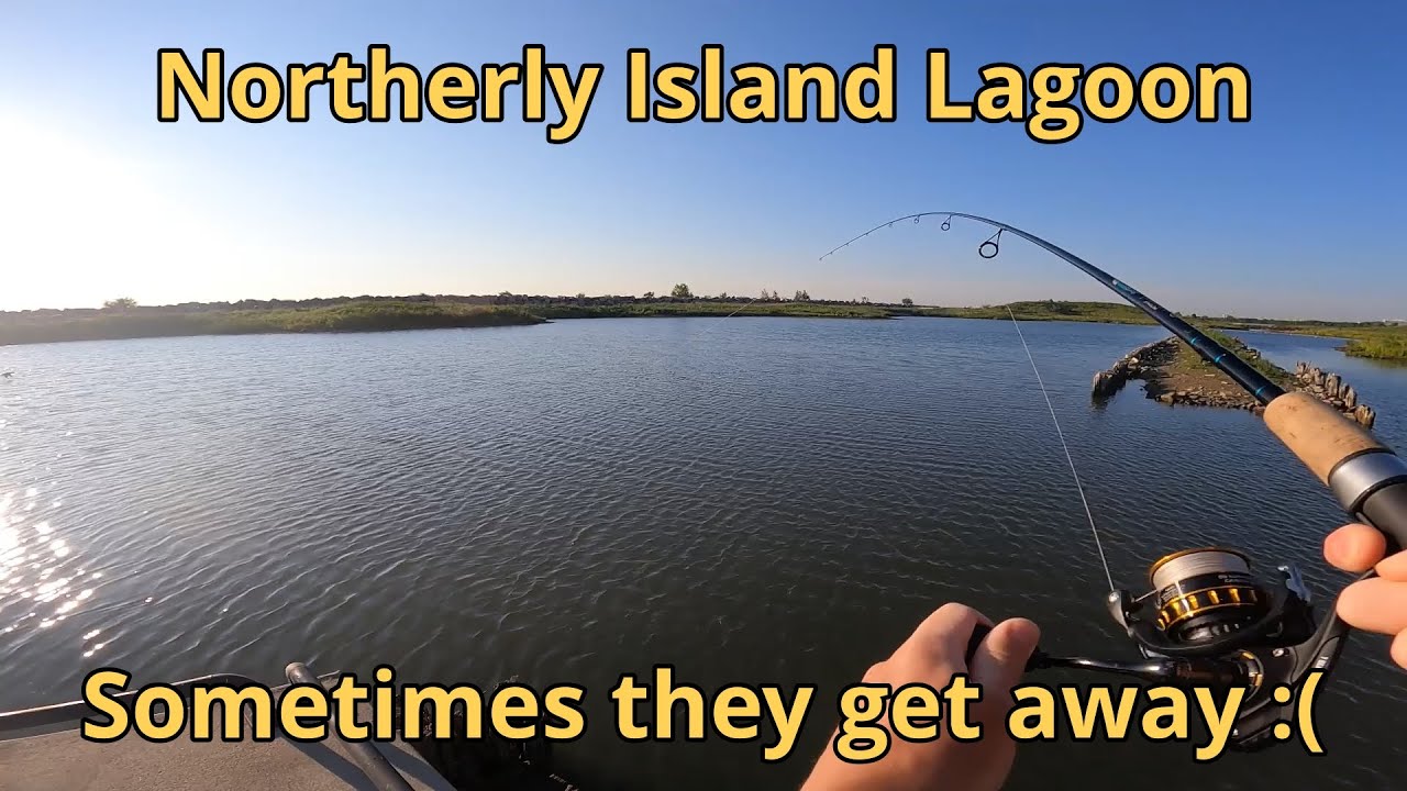 Northerly Island Lagoon Drum... how NOT to land a fish