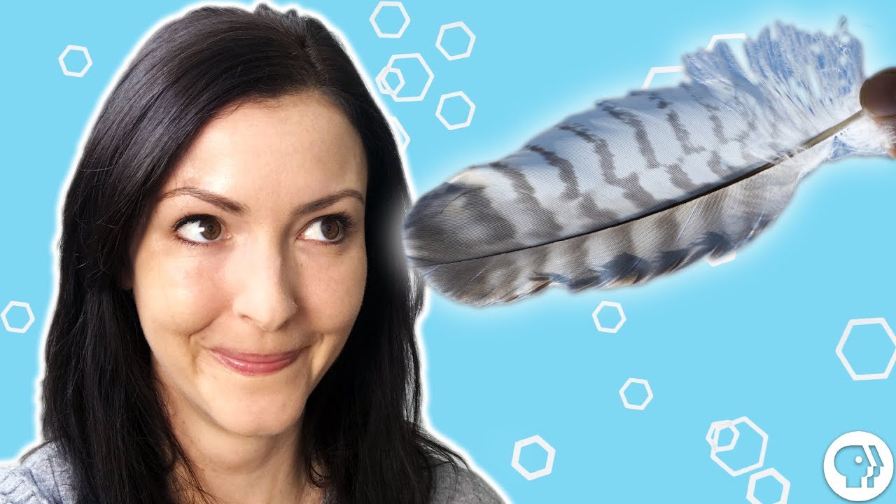 Why Are We Ticklish?