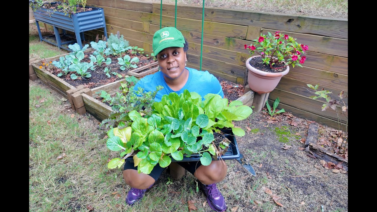Why I Love Gardening?! It's More Than Just Plants