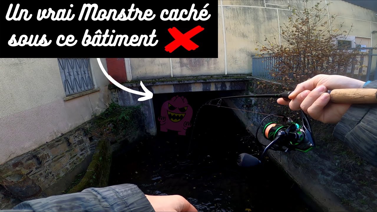 P&ecirc;che aux leurres souple en hiver (Ultra Light)