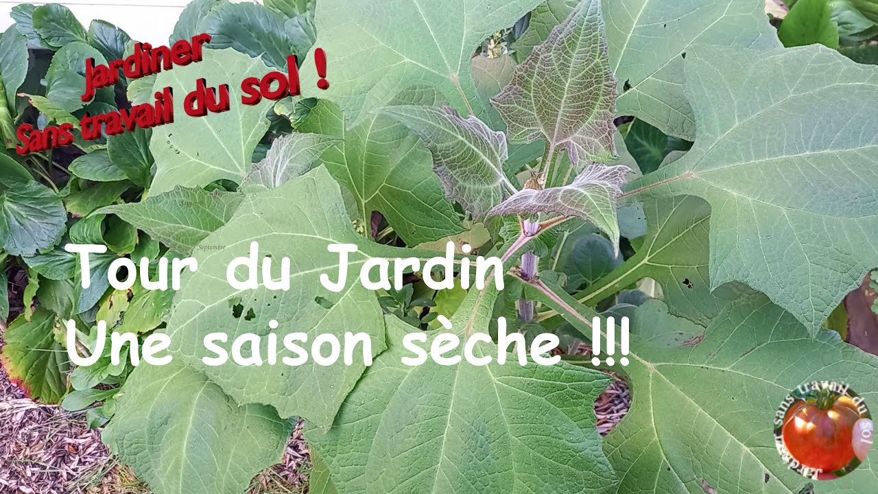 Tour du jardin - Une saison sèche