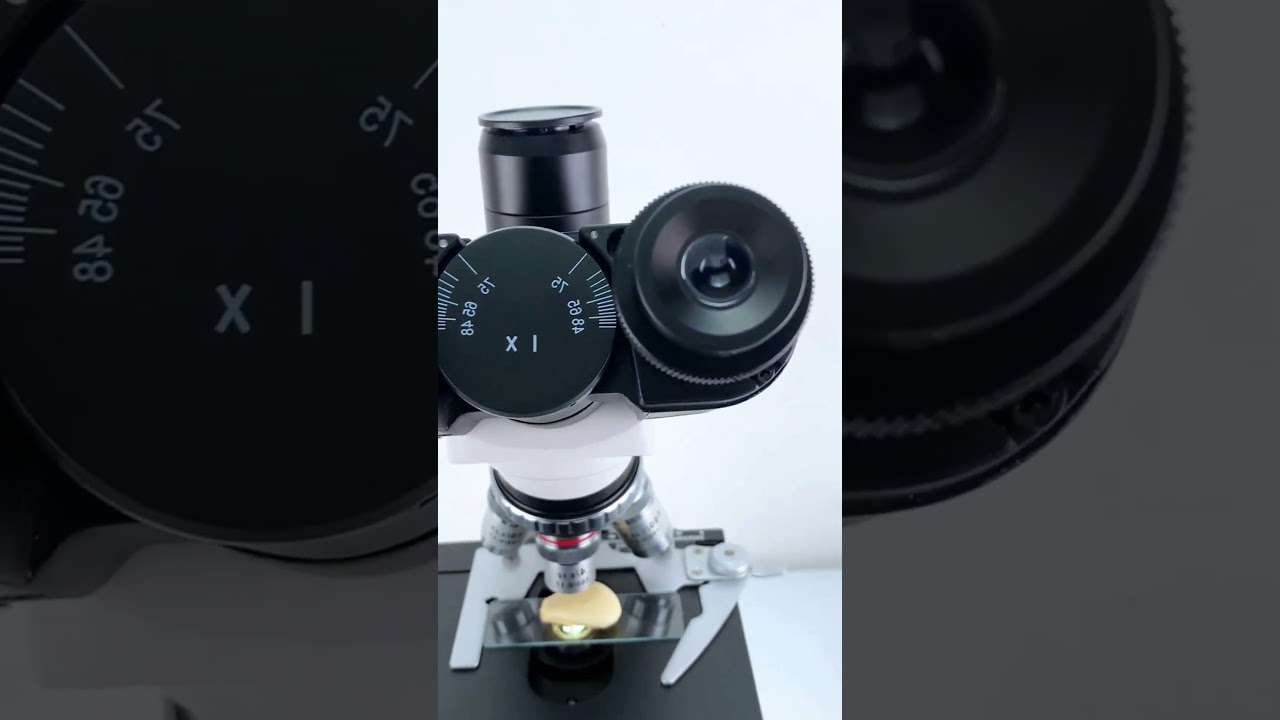Garlic ubder the microscope #microscope #science #experiment