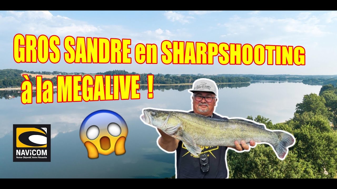 GROS SANDRE en SHARPSHOOTING  &agrave; la MEGALIVE  !