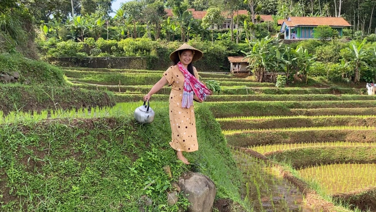 MASYA ALLAH JANDA CANTIK MIRIP ARTIS KOREA HIDUP SEDERHANA DI PELOSOK PEDESAAN JAWA BARAT