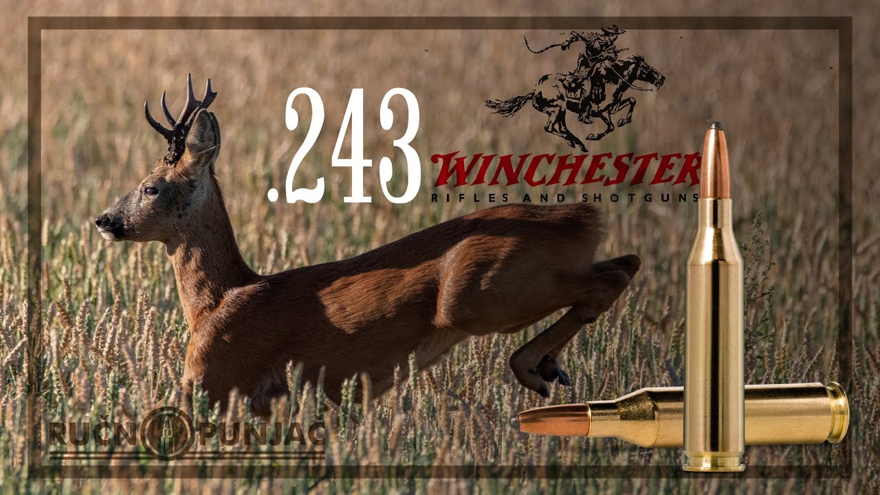 243 Winchester
