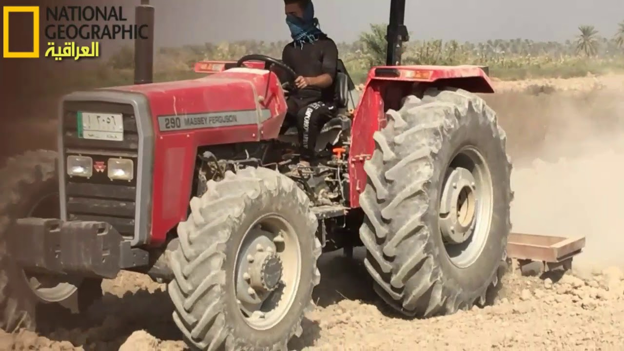 زراعة الشعير في العراق #انتاج_القناة 2018