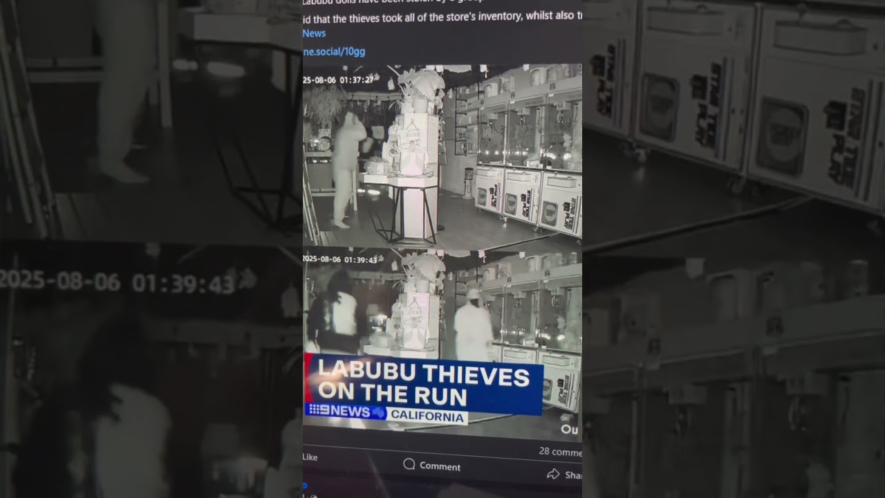 Labubu thieves 🤣😅😂