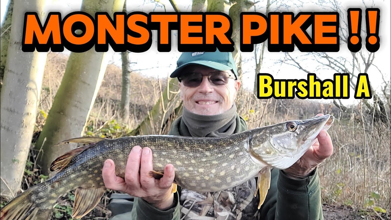  🔥 MONSTER PIKE DEADBAIT FISHING UK Float & Legered Deadbaits #pikefishing #UKpike