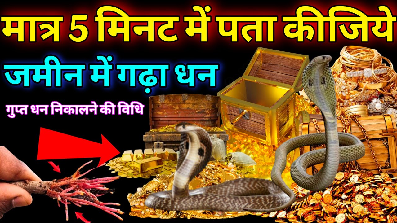 मात्र 5 मिनट में जानिए जमीन में गड़ा धन कहां है, 5 संकेत पहचान लिए तो करोड़पति Dhan milne ke sanket