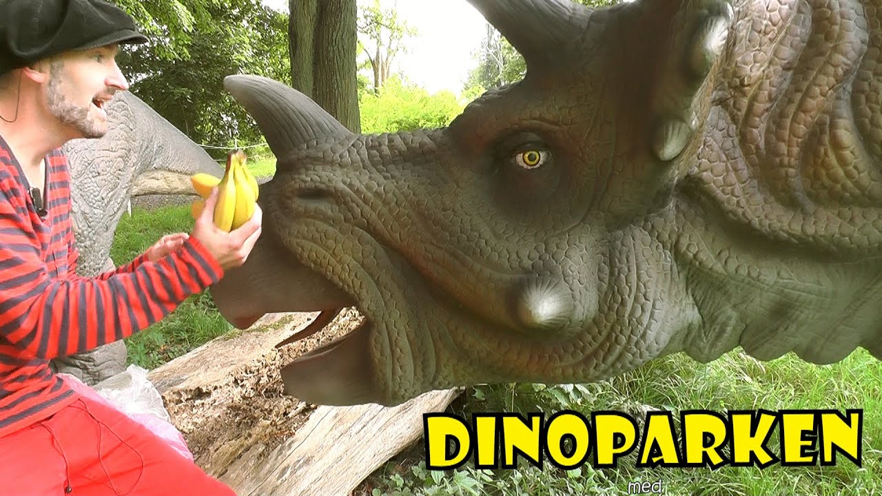 TRICERATOPS | DINOPARKEN med Pappa Kapsyl -  kul fakta om dinosaurier f&ouml;r barn
