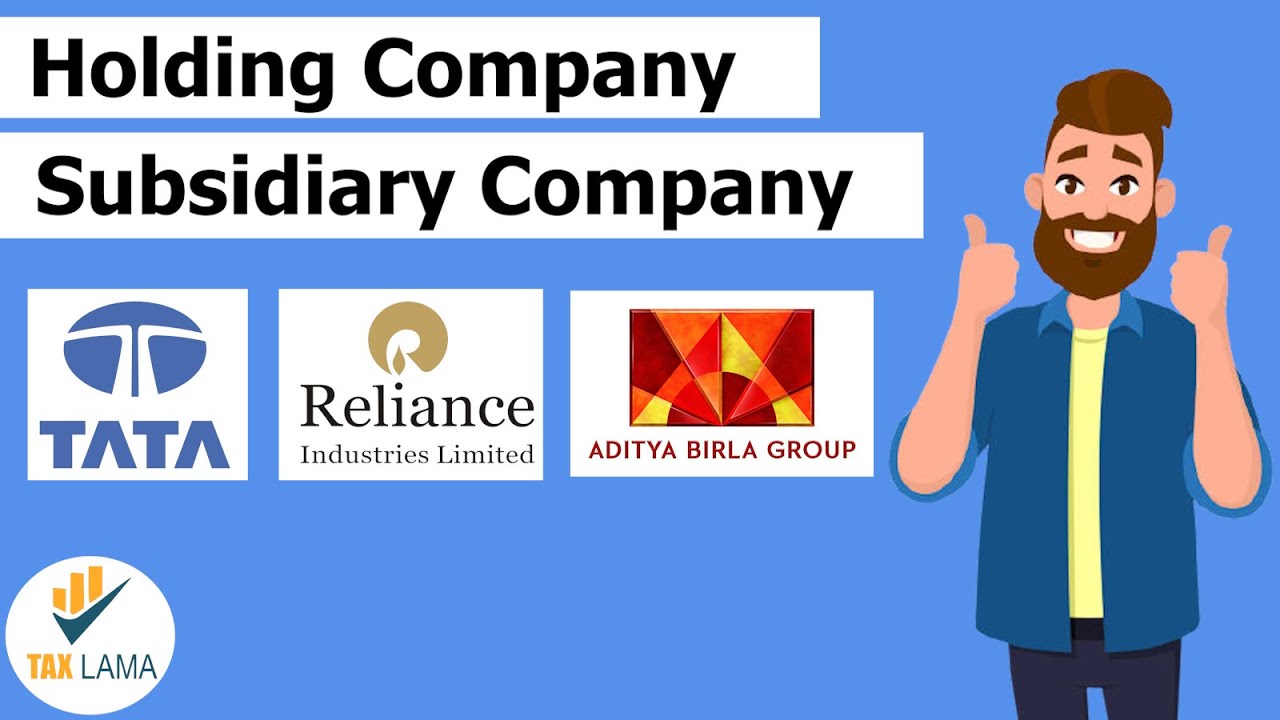 What is Holding and Subsidiary Company Explained in Hindi | with Examples
