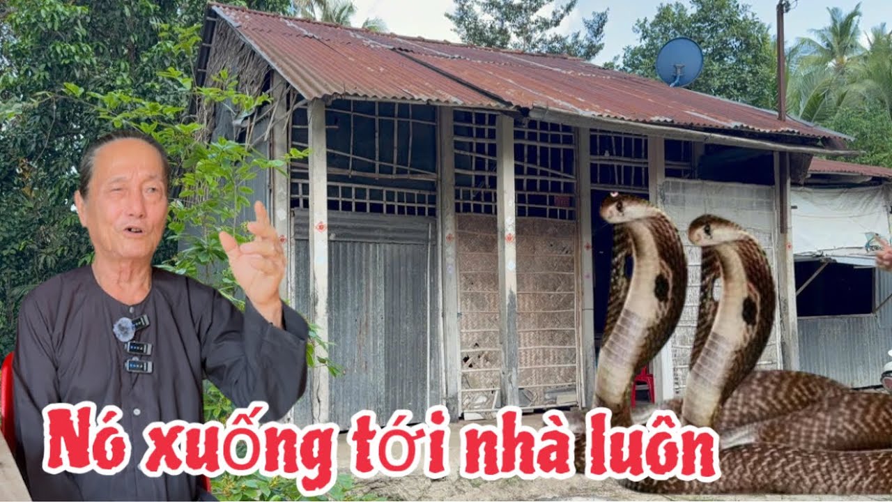 Ly kỳ người. Bí ẩn ở núi tượng đi mây về gió mãng xà phải khiếp sợ 