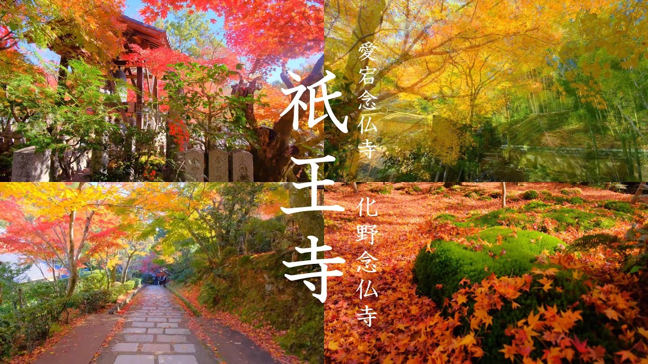 嵐山・奥嵯峨・紅葉見頃の半日観光 | 祇王寺 | あだしの念仏寺 | おたぎ念仏寺 | (KYOTO , JAPAN)