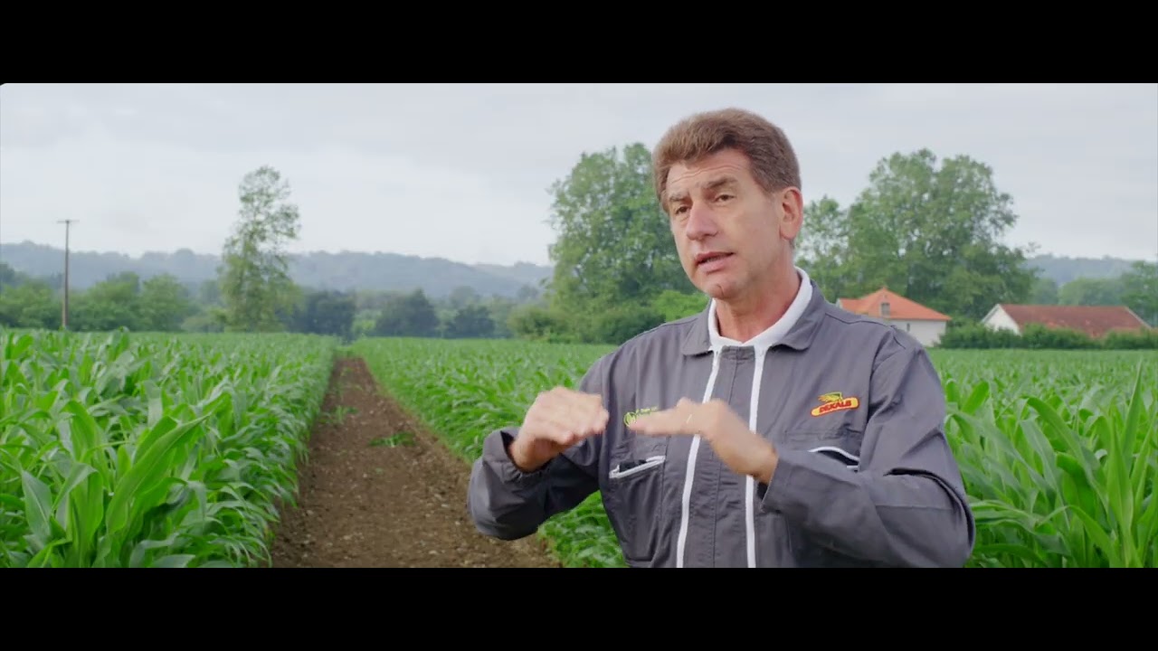 Découvrez DKC4391 avec nos sélectionneurs DEKALB