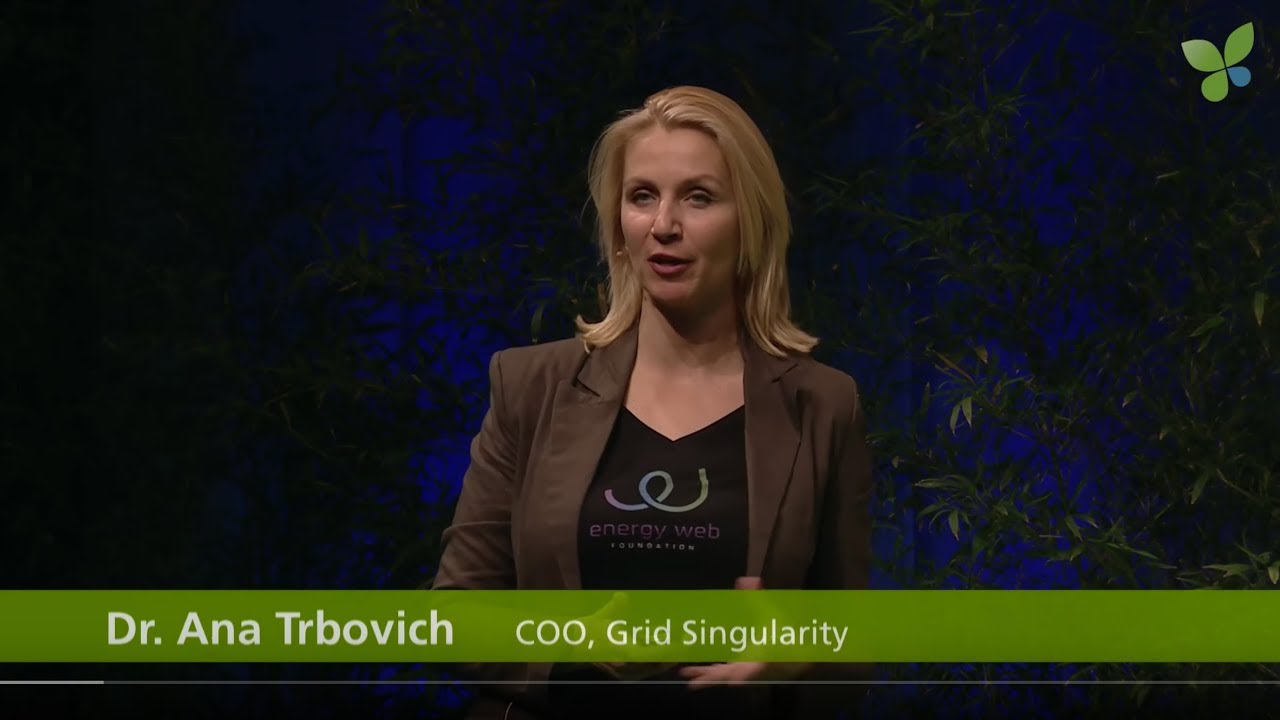 Ana Trbovich pitches Grid Singularity