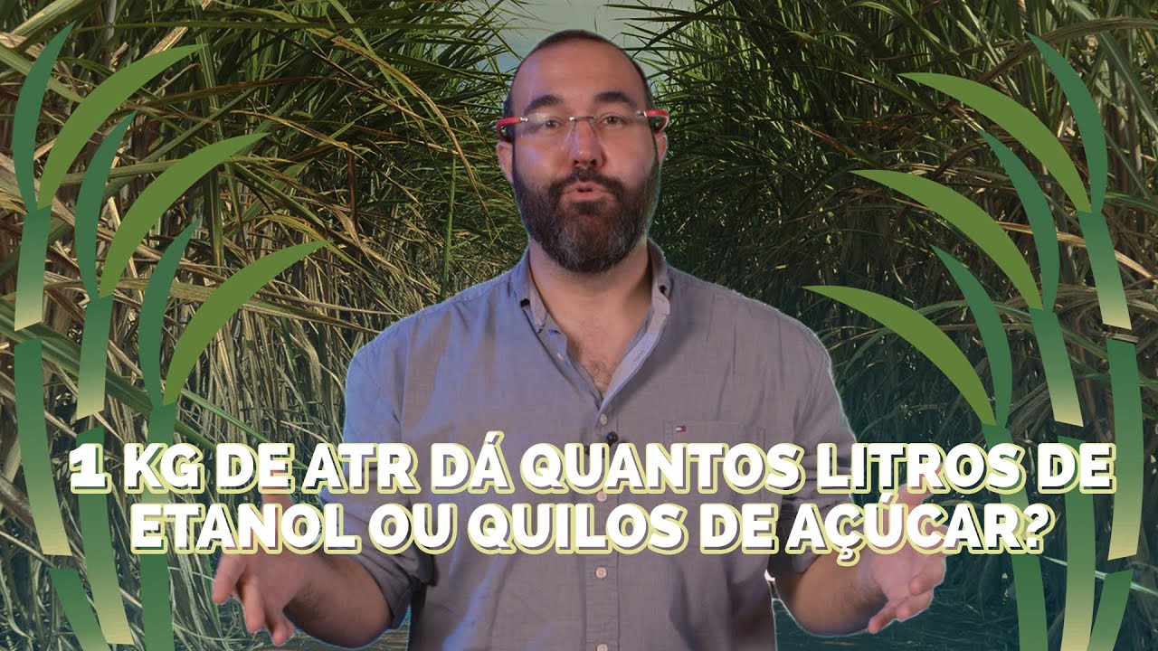 Cana para não agrônomos: 1 kg de ATR dá quantos litros de etanol ou quilos de açúcar?