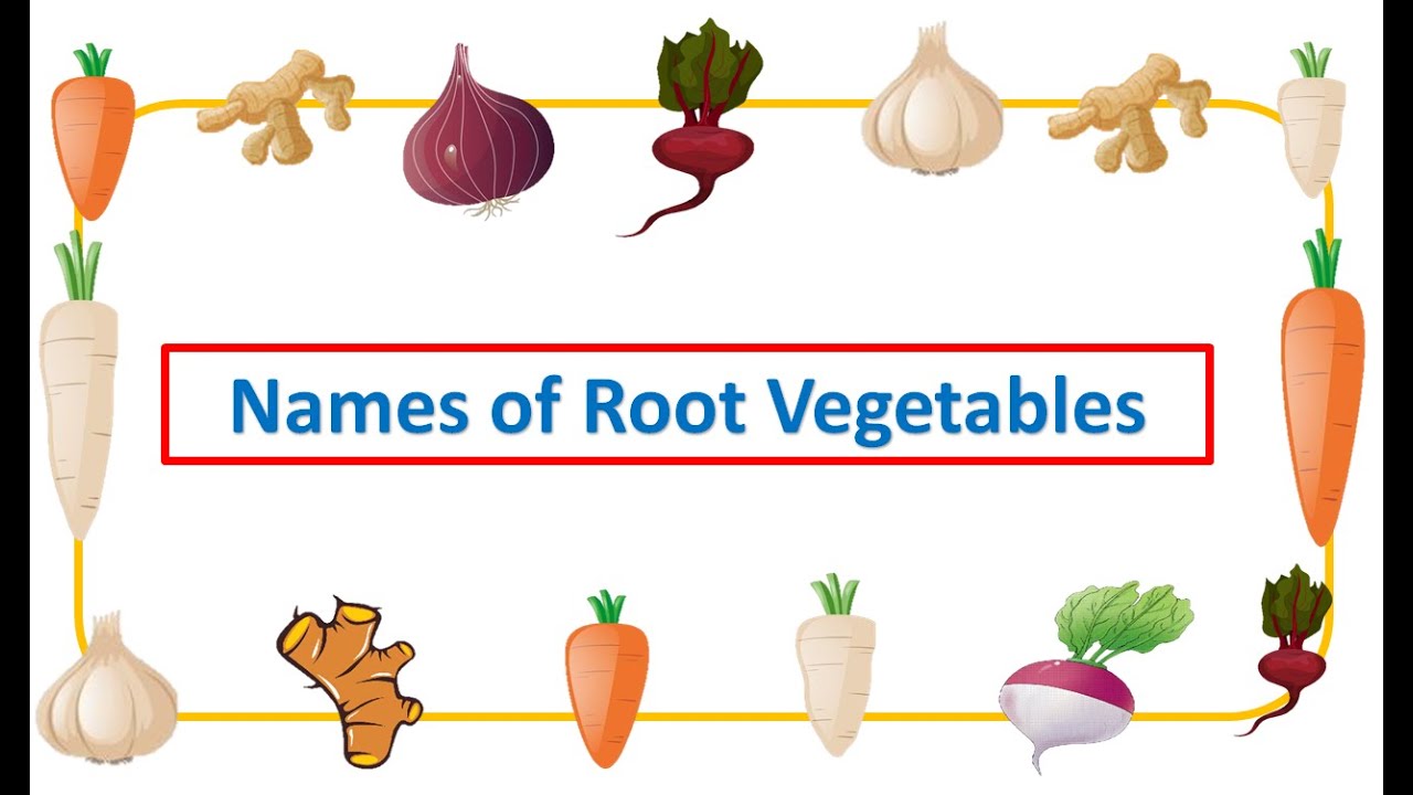 Names of Root Vegetables| Root Vegetables| different types of root vegetables | #root | #EToddlers