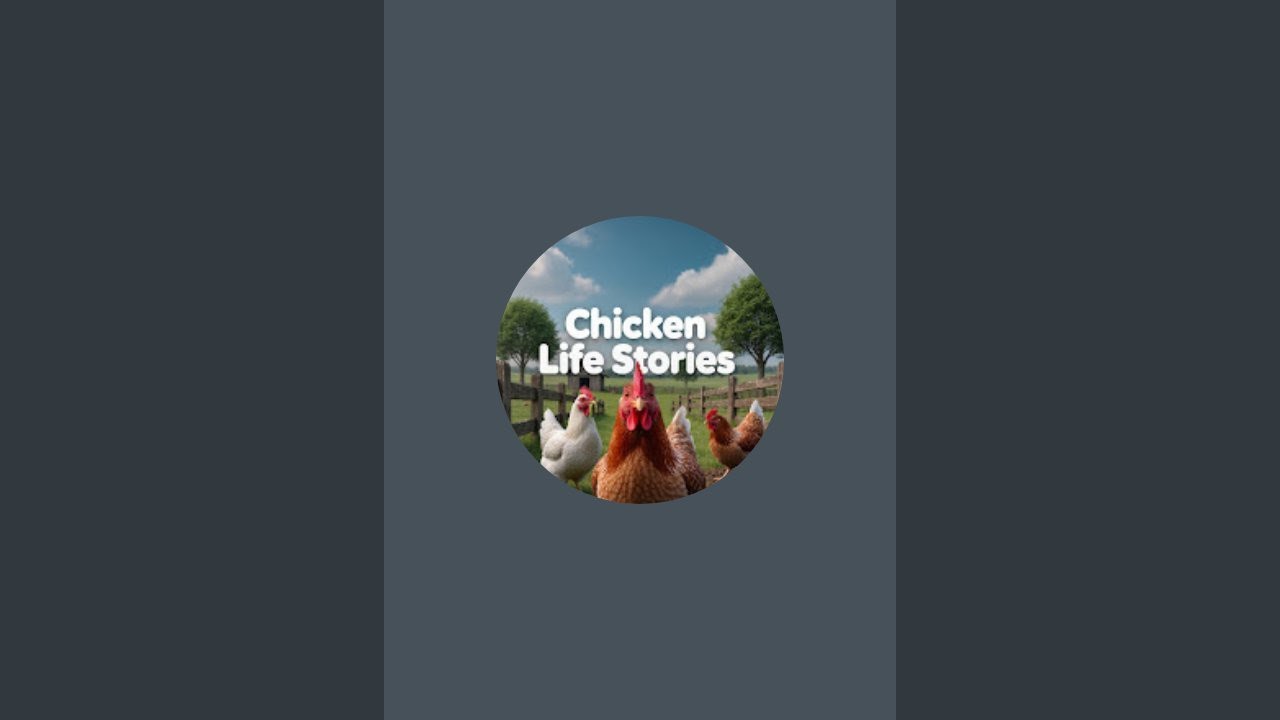 Grey Sky, Happy Chickens | Farm Live Stream