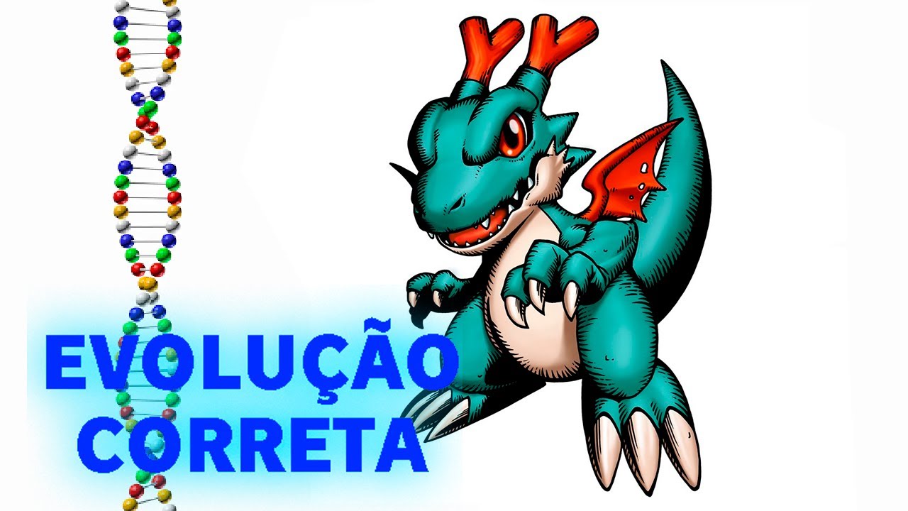 Dracomon - Evolução Correta