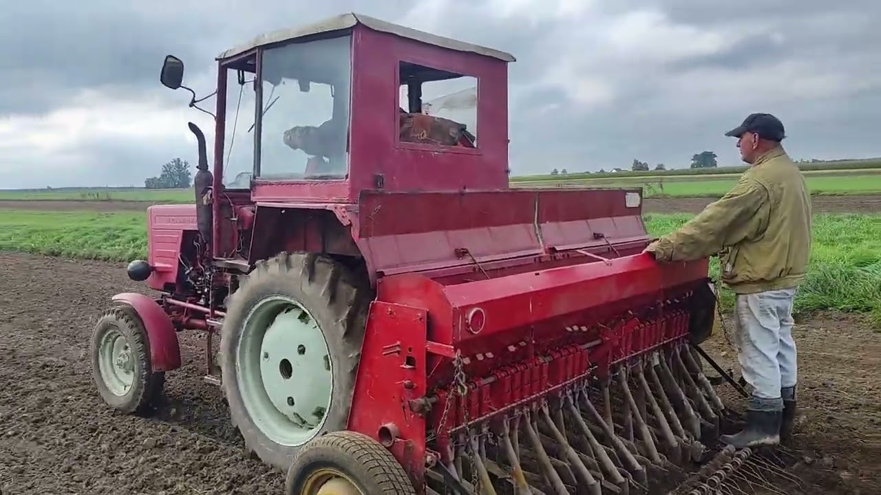 Drugi dzień zmagań zasiewów 2025