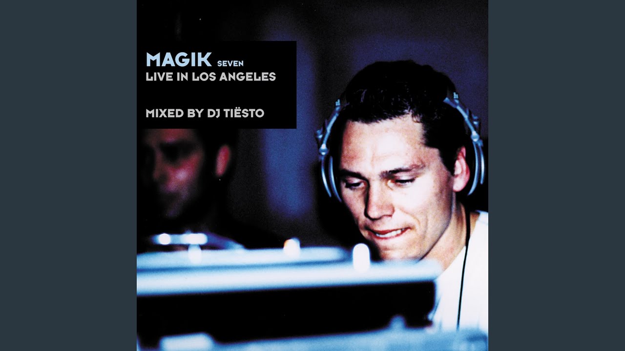 Flesh (DJ Tiësto Mix)